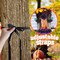 SancheZ; Crashing Witch into Tree Halloween Decorations with Led Light; Category:Statues; Image:6